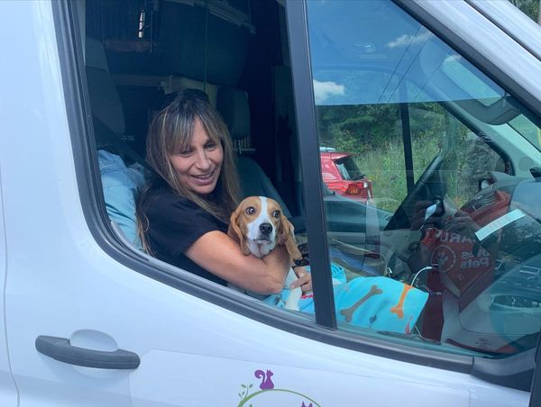 Through your donations to support their transports, you can make an impact and improve THOUSANDS of lives, both animal and human. Please consider donating here: bit.ly/AlmightyAdvoca… to kickstart our event in support of <a href="/AndersonHumane/">Anderson Humane</a> &amp; us here at PYG. 🐶💜
