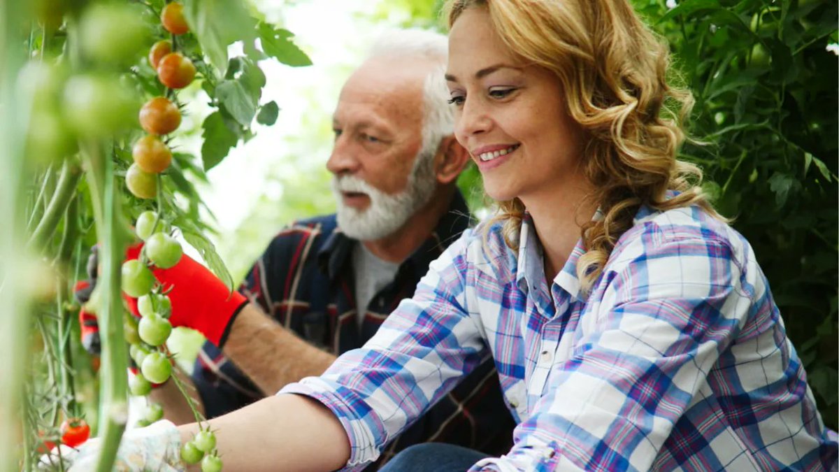 OptiMYz Magazine tweet media