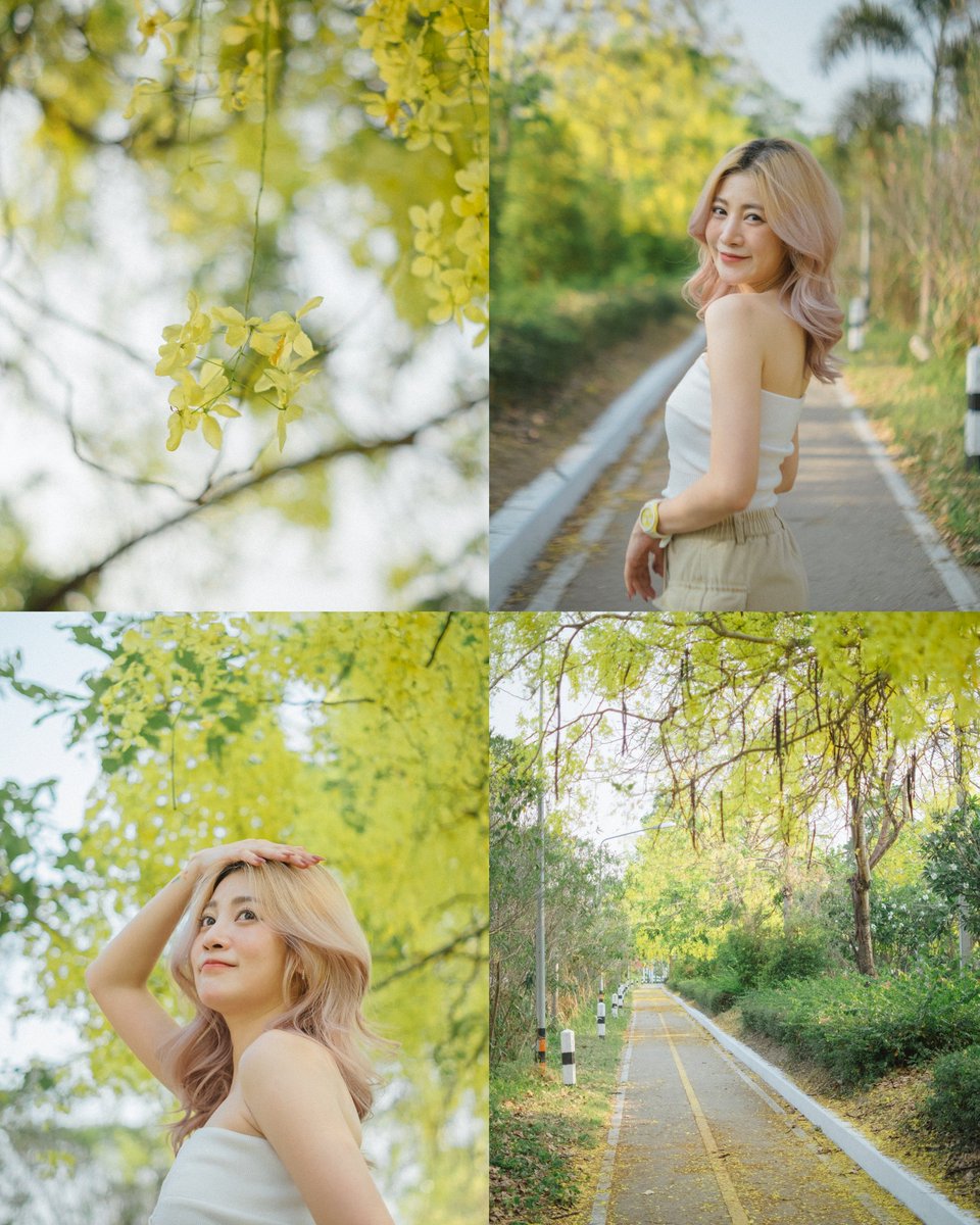 Champ_nitirak's tweet photo. Summer Vibes 🌼🌼
.
📌 จุดนี้อยู่ ตรงทางเข้า 700 ปีเลยค้าบ แนะนำ ไปช่วงเช้า ไม่เกิน 11 โมง หรือ ไปช่วง บ่าย 3 ถึง 4 โมง กว่าๆ แสงจะดีมากเลย
.
Fujixt1 / ttartisan 35 f1.4
#Nitirak #fujifilm_xseries #fujifilm #fujixt1 #รีวิวเชียงใหม่ #เชียงใหม่ #เที่ยวเชียงใหม่ #reviewchiangmai https://t.co/Fzkf3exh9O
