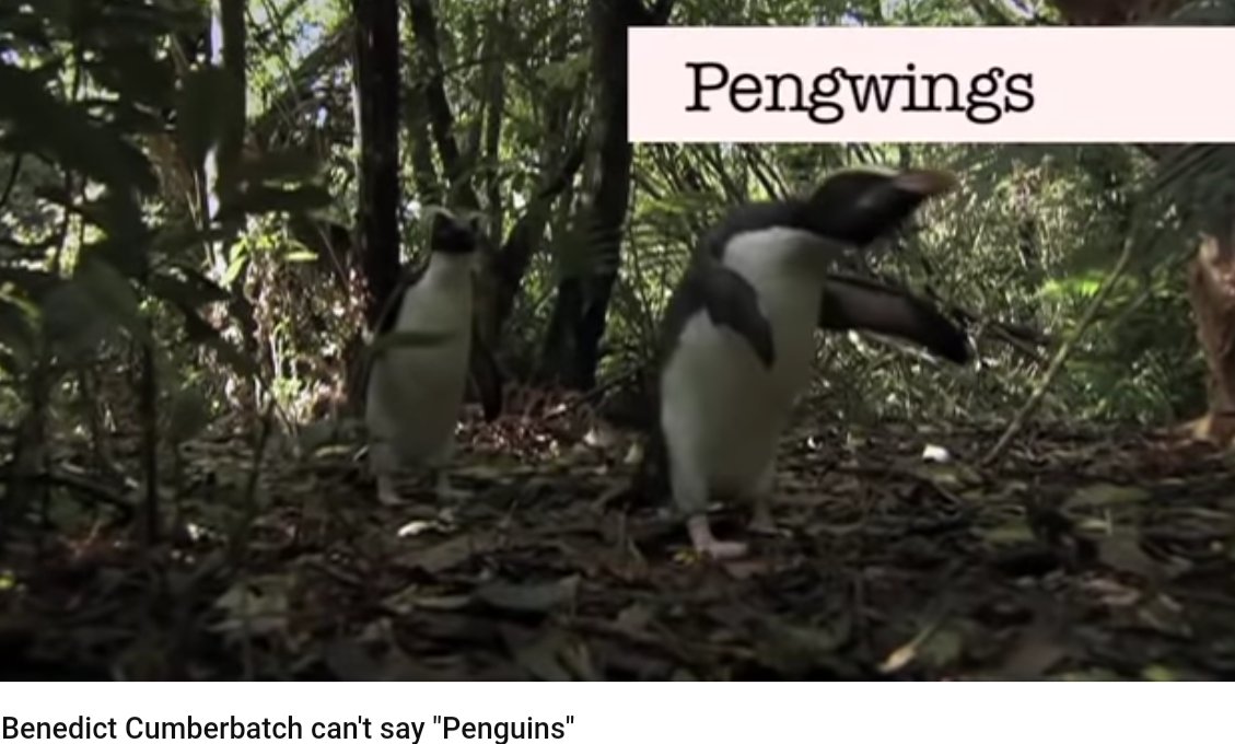 sapw's tweet photo. Happy #WorldPenguinDay #BenedictCumberbatch #Sherlock #DoctorStrange #pengwings https://t.co/ymUpj51qlD