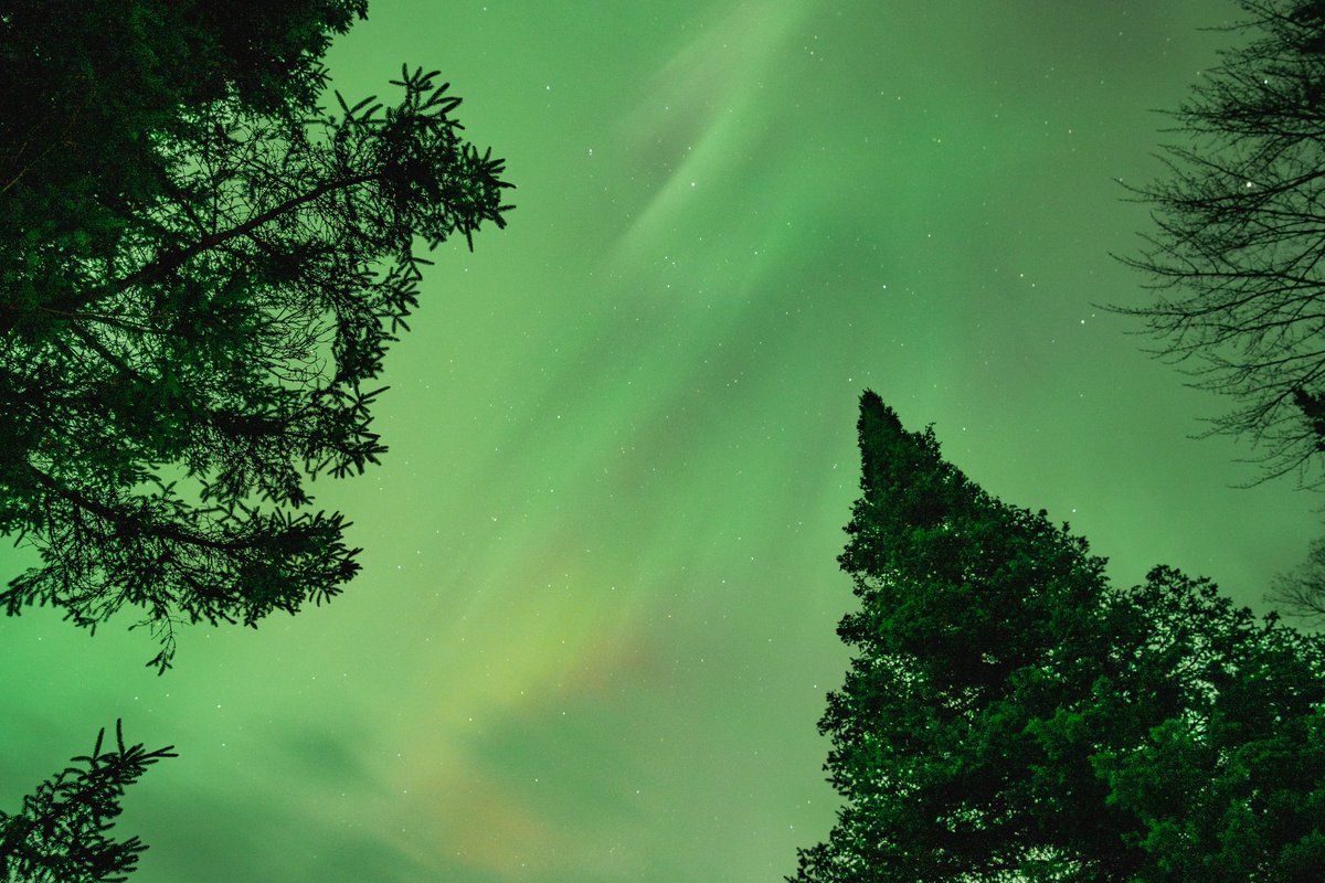logolau5's tweet photo. Northern Lights 💡 https://t.co/D1IdJVTxWK
