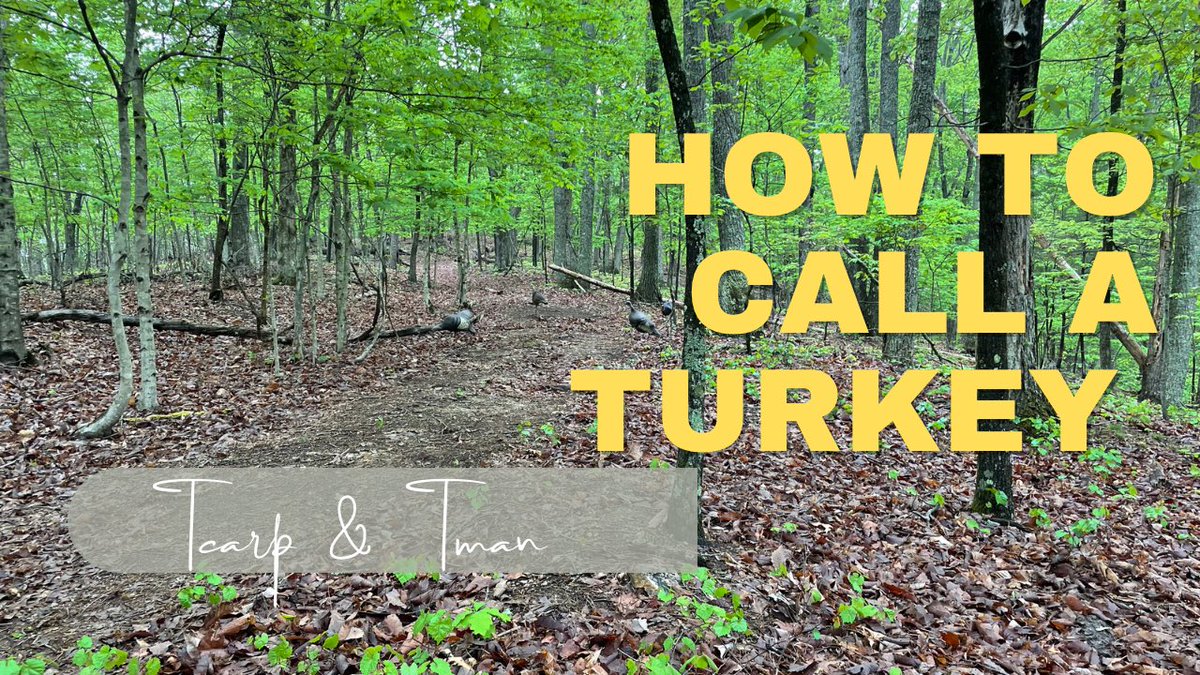 'Get ready to perfect your turkey calling skills! Our new video on the best turkey calls drops tomorrow at 8 AM. Don't miss it! 🦃📹 #turkeyhunting #turkeycalls #huntingtips'

youtu.be/KbvnJnvyAVQ