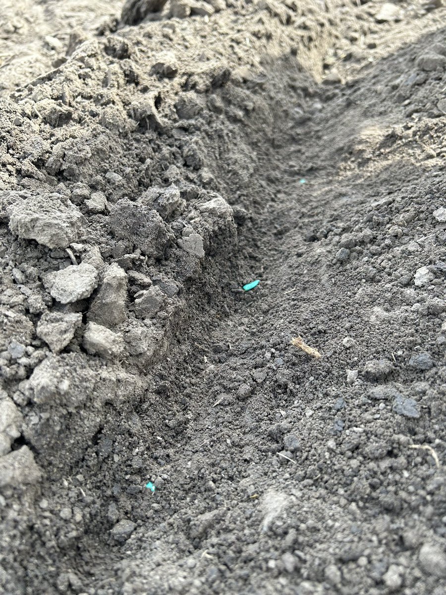 WSquizani's tweet image. Kicking off this year on @pivotbio corn plots at @KStateAgron. Looking forward to see how it goes. Thank you to all these guys for the support! @smicrobial_ksu 
@IWanithunga