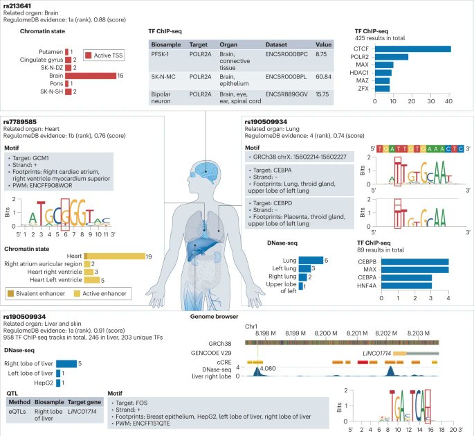 Annotating and prioritizing #human non-coding variants with RegulomeDB v.2

#diseases  #transcription #mutation #anxietypath  #phenotype #Phenomics @NatureGenet   nature.com/articles/s4158…