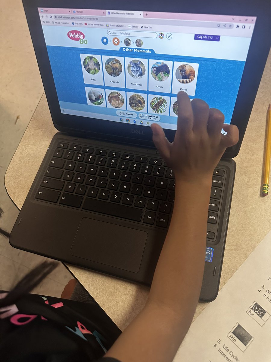 Jacqueline Garcia (@gigemits) on Twitter photo Super impressed with <a href="/Ms_BrogdonBCE/">Tirzah Brogdon, M.Ed</a> kinder friends working on animal research through <a href="/pebble_go/">PébbleGo</a>! Can’t wait to listen to their final projects! <a href="/BCE_BlueJays/">BrushyCreekElementary</a> <a href="/RRISDTech/">RoundRock Technology</a> Super impressed with <a href="/Ms_BrogdonBCE/">Tirzah Brogdon, M.Ed</a> kinder friends working on animal research through <a href="/pebble_go/">PébbleGo</a>! Can’t wait to listen to their final projects! <a href="/BCE_BlueJays/">BrushyCreekElementary</a> <a href="/RRISDTech/">RoundRock Technology</a>