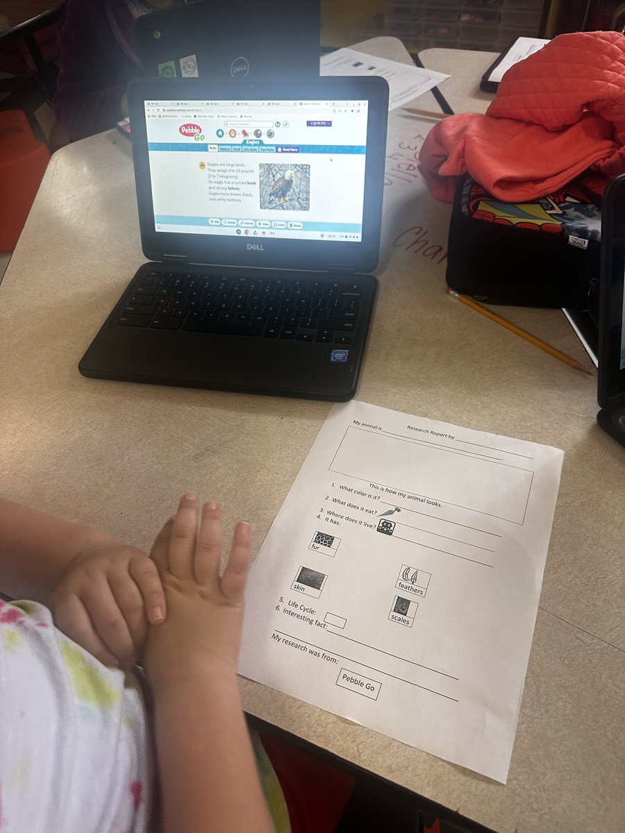 gigemITS's tweet photo. Super impressed with @Ms_BrogdonBCE kinder friends working on animal research through @pebble_go! Can’t wait to listen to their final projects! @BCE_BlueJays @RRISDTech https://t.co/ePRQ6QpQie