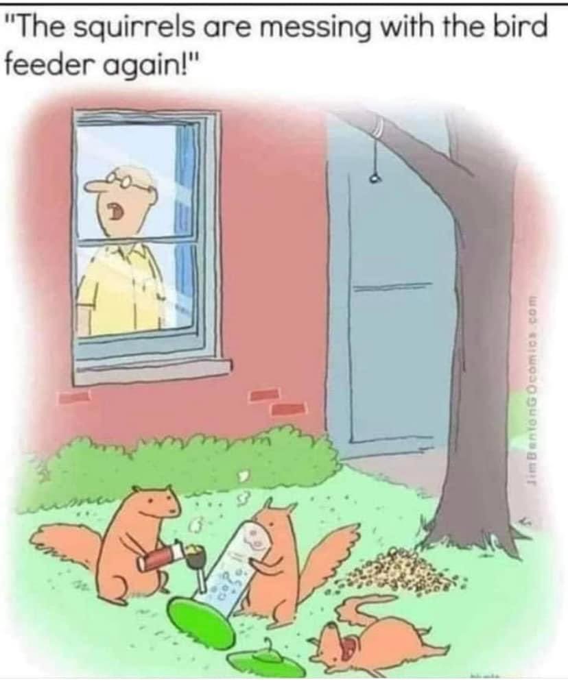 Bill_Dareefa tweet media