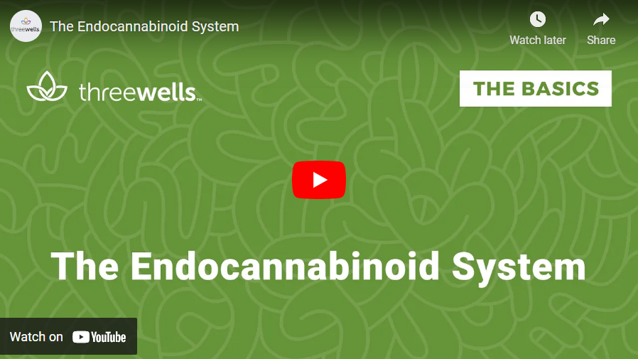 ThreeWellsUS's tweet photo. Humans have been using cannabis (aka marijuana) for thousands of years, but much of the science about the plant isn’t well understood. This lack of knowledge is due to the fact that #cannabis was criminalized in the 1930s. https://t.co/T5jLBNoFIB https://t.co/400MTQ1ZeA