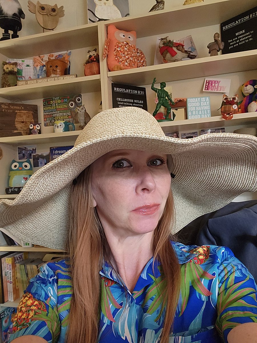 rsetera's tweet image. Tried out the hat I bought for the #BetweenThePages ambassador cruise today during Prom spirit week. I think it will definitely help keep the sunburn off my face 😊
#teachertwitter