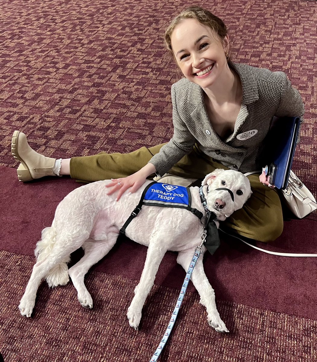 PetAdvocacy's tweet photo. 500+ #CapitolHill staffers came out to #MeetthePets today for paw-sitive #bipawsitan interactions with @pet_partners #therapydogs, hosted by @PetAdvocacy & @uspetfoodz #humananimalbond #powerofpets @politico @thehill @rollcall https://t.co/fEEJeujK47