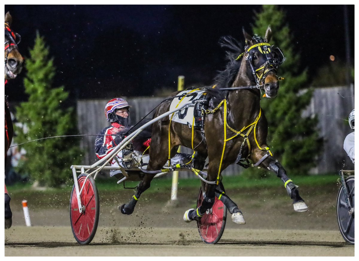 Darlington Hanover finished a strong 3rd tonight <a href="/TheRacewayWFD/">The Raceway</a>! Locked &amp; blocked late, live at the wire- look out next week 👀
