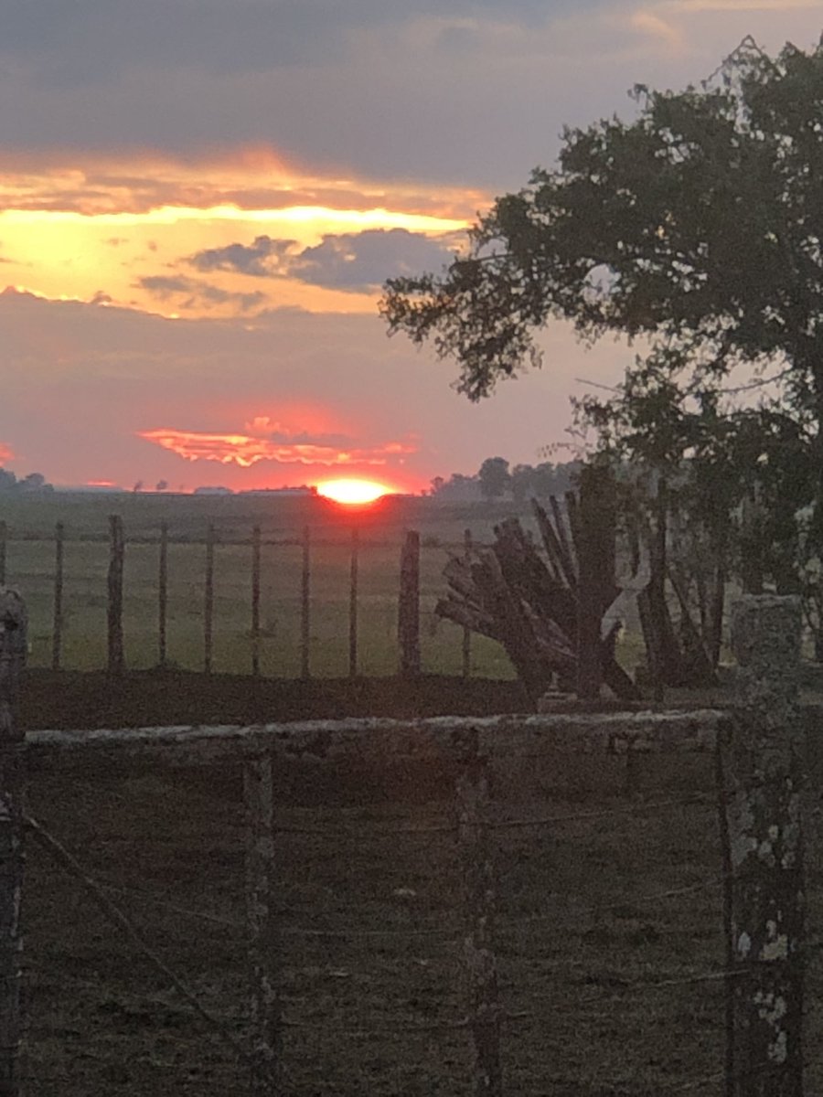 CharlesDVM's tweet photo. Corrales vacíos
Así se fue el sol después de hoy. #SolNaranja https://t.co/JR4gbNCv4G
