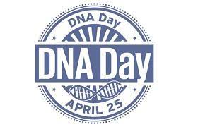 mrophiophagus's tweet photo. आज विश्व DNA दिवस, त्यसैले यो बारे नि एउटा सानो थ्रेड लेखौँ जस्तो लागेर अलि अलि लेखेको छु। फुर्सदमा हेर्नु होला र सुझावहरू दिनु होला :) https://t.co/RwsBUS2yKQ