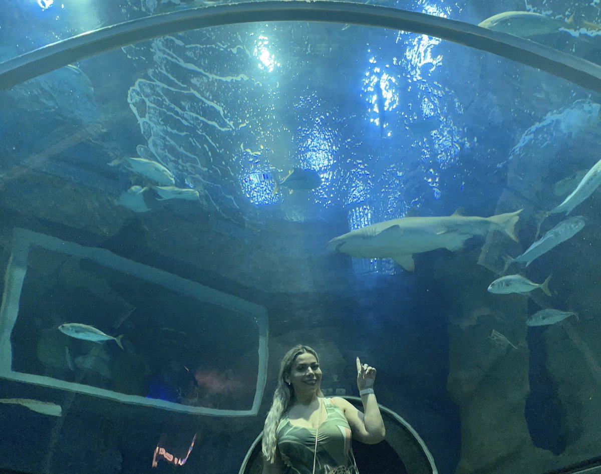 Letilan's tweet photo. Increíble !!! Amo Río de Janeiro!!! 😍🐋🦈 https://t.co/E9cbZI4edm