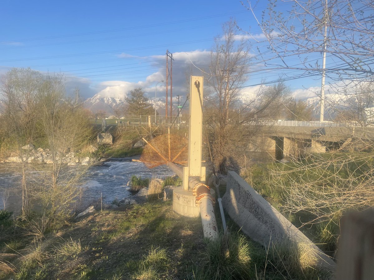 hattrick08's tweet image. #JordanWinchester