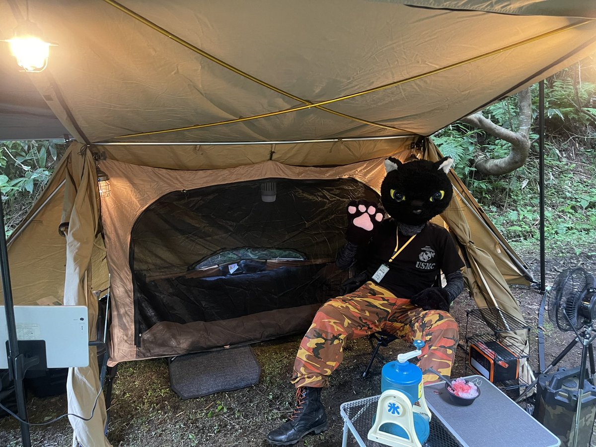 黒猫 ライミ tweet media