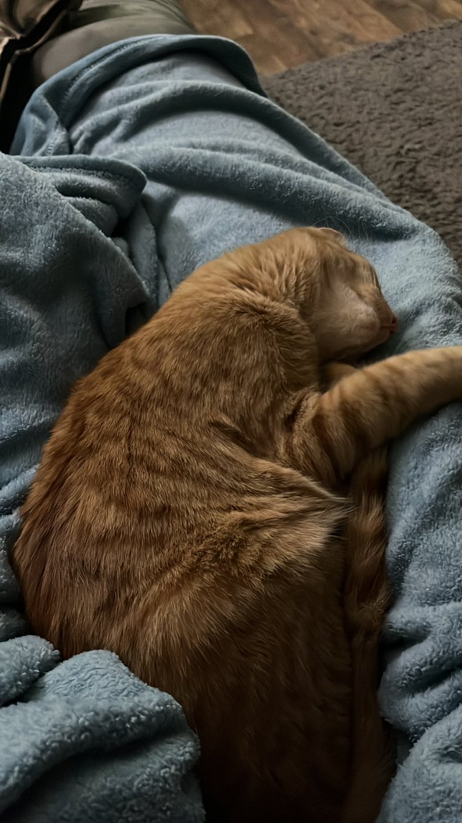 Bioz__'s tweet image. What a sleepy head