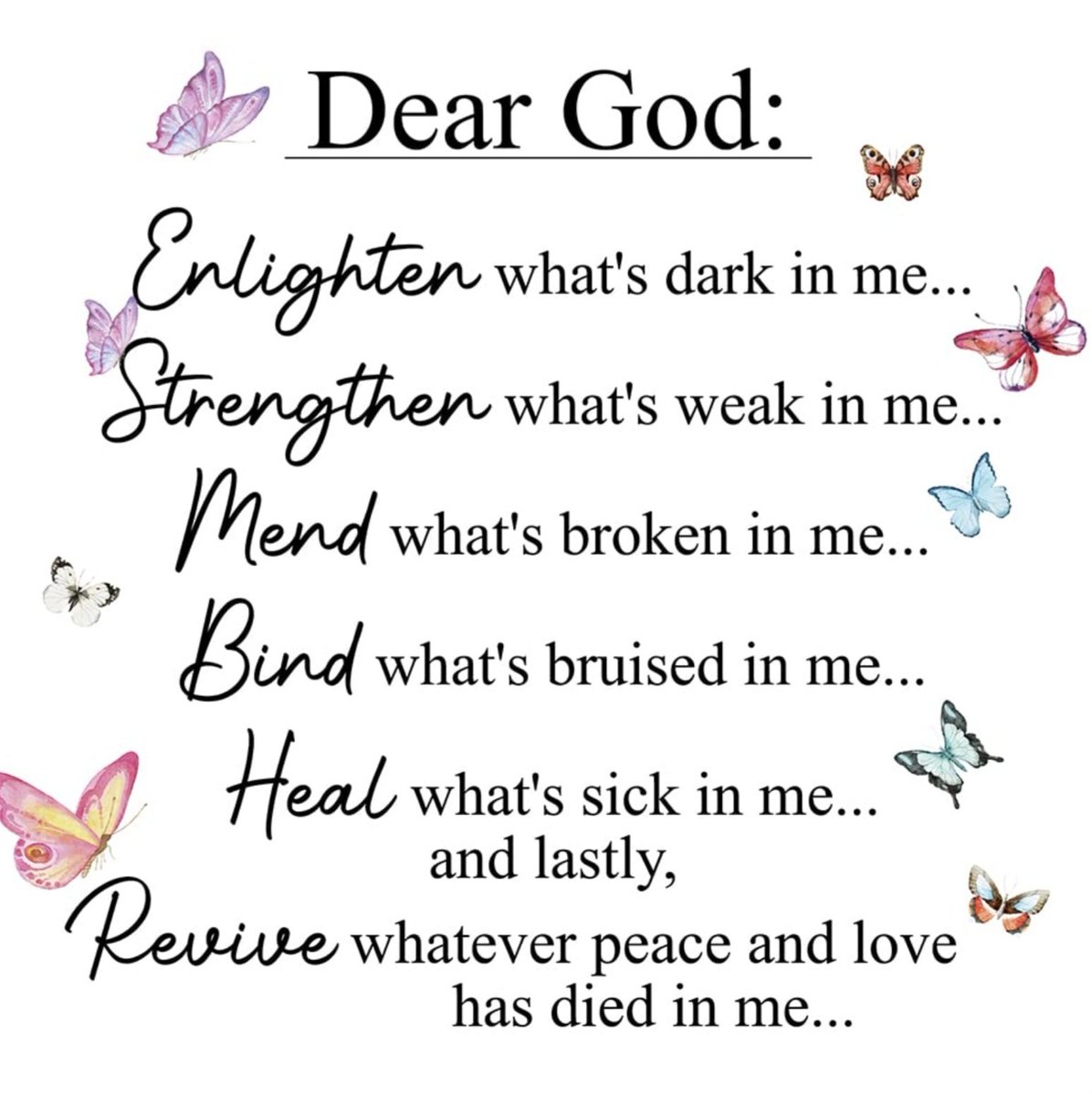 ameliaepowell3's tweet photo. ❤️🙏🏽👏🏽🙌🏽👑🌹 https://t.co/uzEACa1uYR