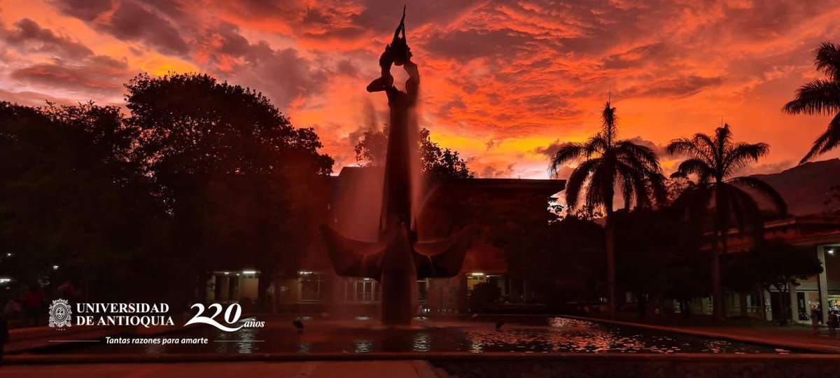 UdeA's tweet photo. 😍👏 Por supuesto que tus bellos e inolvidables atardeceres son una de esas tantas razones para amarte.
💚👇 Logremos 220 comentarios con razones para amar nuestra Alma Máter. ¡Súmate a la celebración con nosotros!
#SoyUdeA • #UdeA220Años • #UdeA https://t.co/FpbDleLfdg