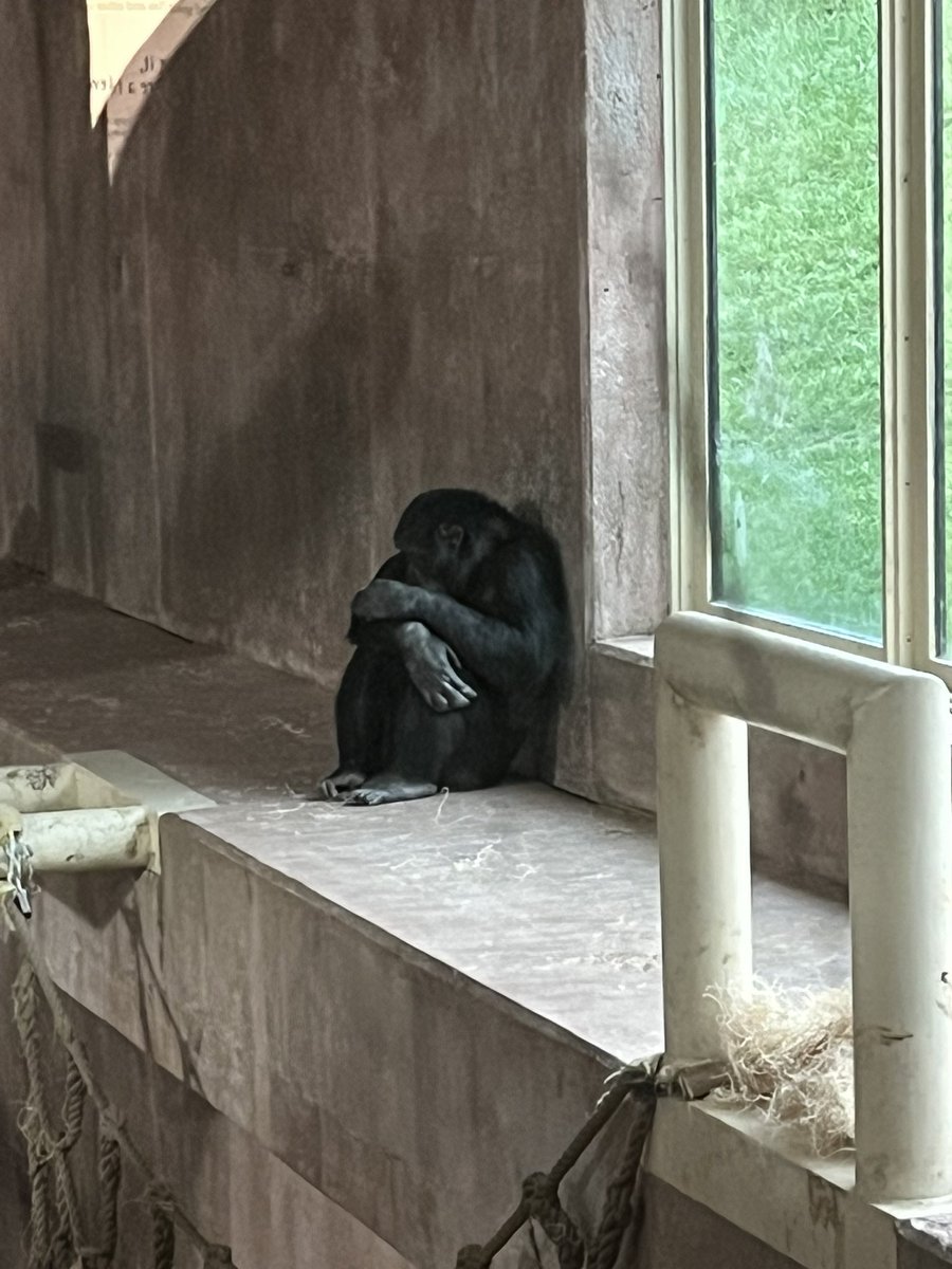 abergersclass's tweet photo. It’s always a fun time we go for a field trip to the @detroitzoo !  The animals were so active and we learned so much from the docents. https://t.co/gxpDfm1iaO