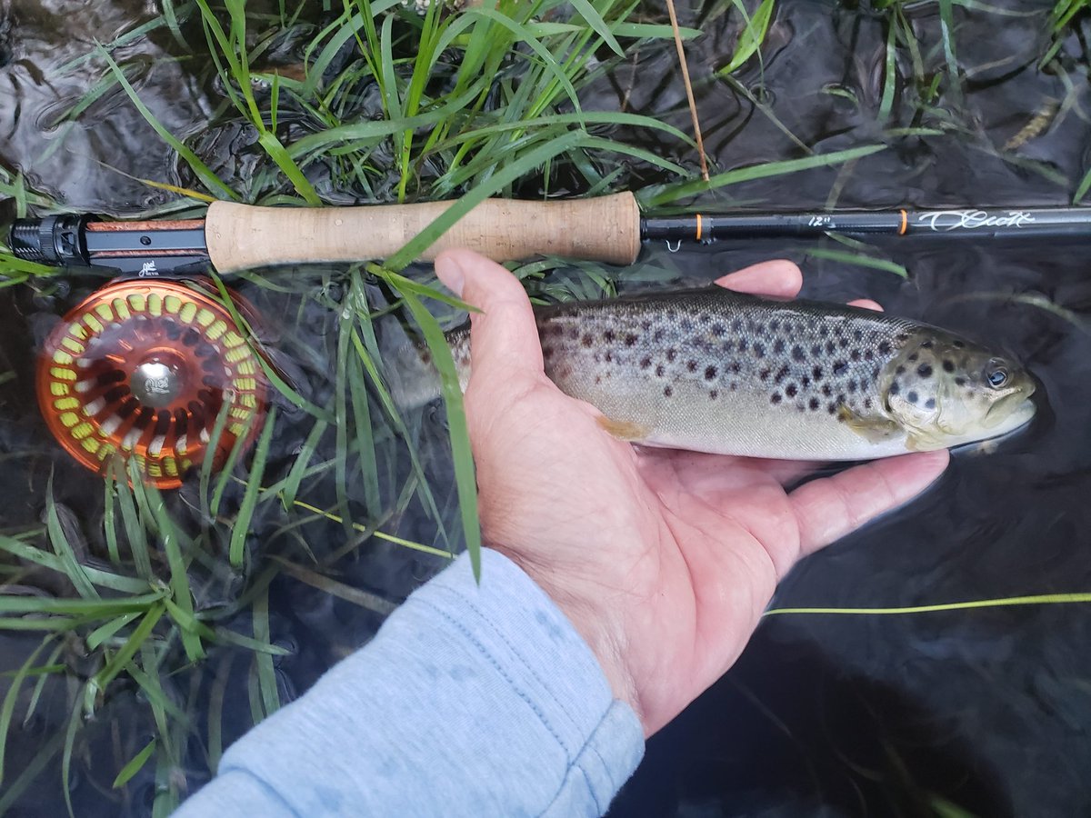 easternCTff's tweet image. Broke out the Scott Radian 6 weight for heavy nymphing in high water tonight.