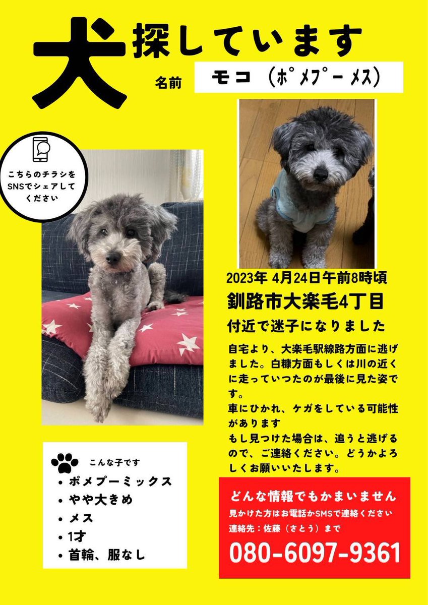 pIUTZLpK2sMuBA4's tweet photo. 迷子のモコちゃん

目撃情報まだありません。

お手伝い出来る方　大楽毛周辺の方
どうかご協力ください。

草むら　ご自宅の庭　物置の中　確認して頂きたいです。

今日は暴風雨とても心配です。

どうかご協力お願いします。 https://t.co/y0P5GDxlEM