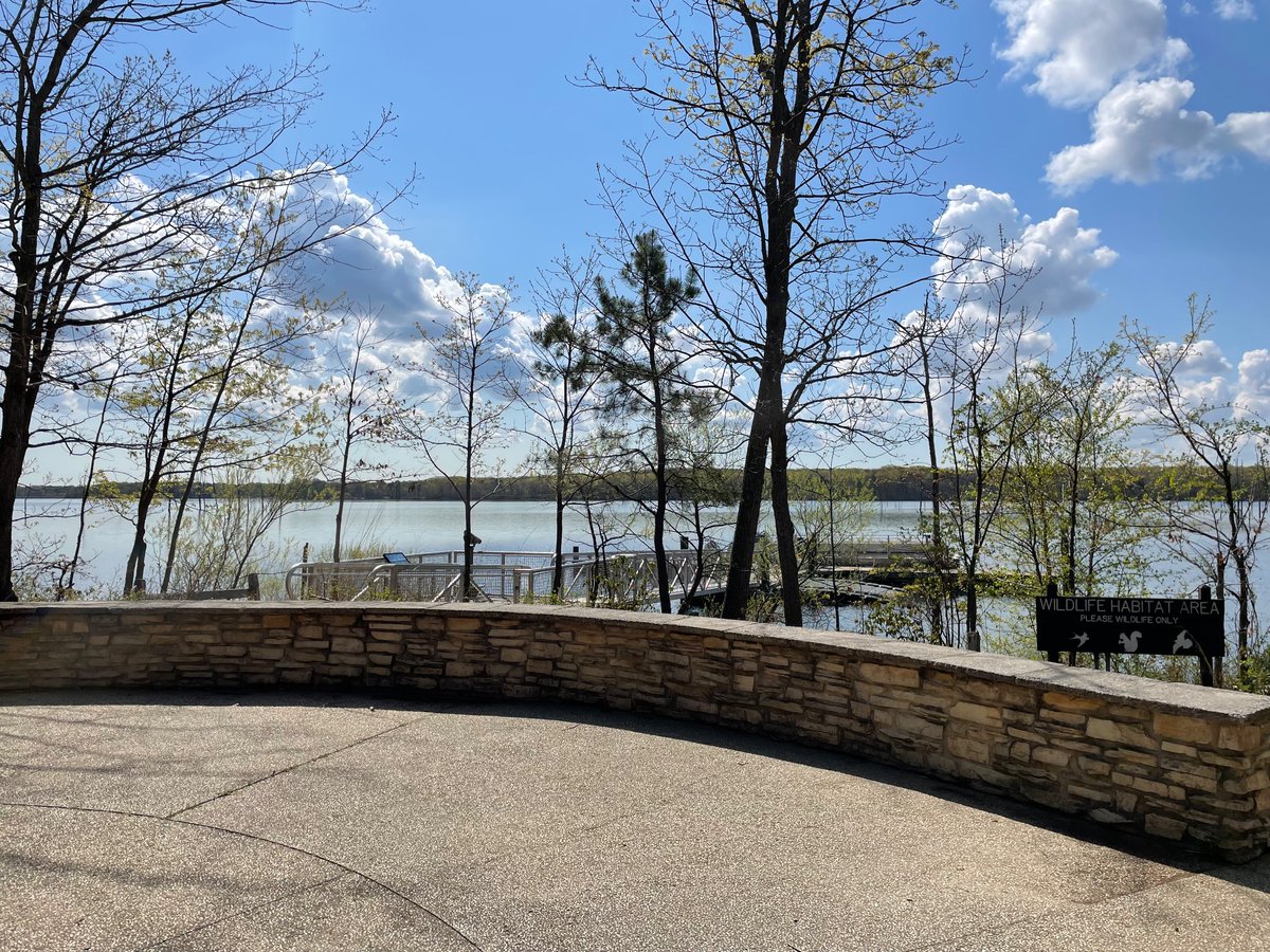 Christina Harris tweet media