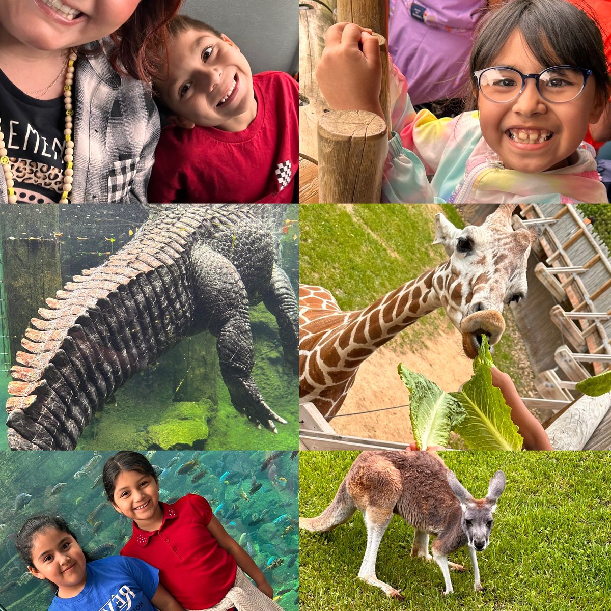 Kayli Anne Carlton tweet media