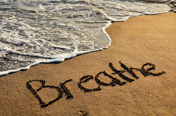 TheVelvetLotus's tweet photo. Latest in your inbox! And if you're not on the list, you can be! Shoot me a message with your email.
When in doubt, just breathe - https://t.co/iGR9K16LIP https://t.co/FsVGI2H8iX