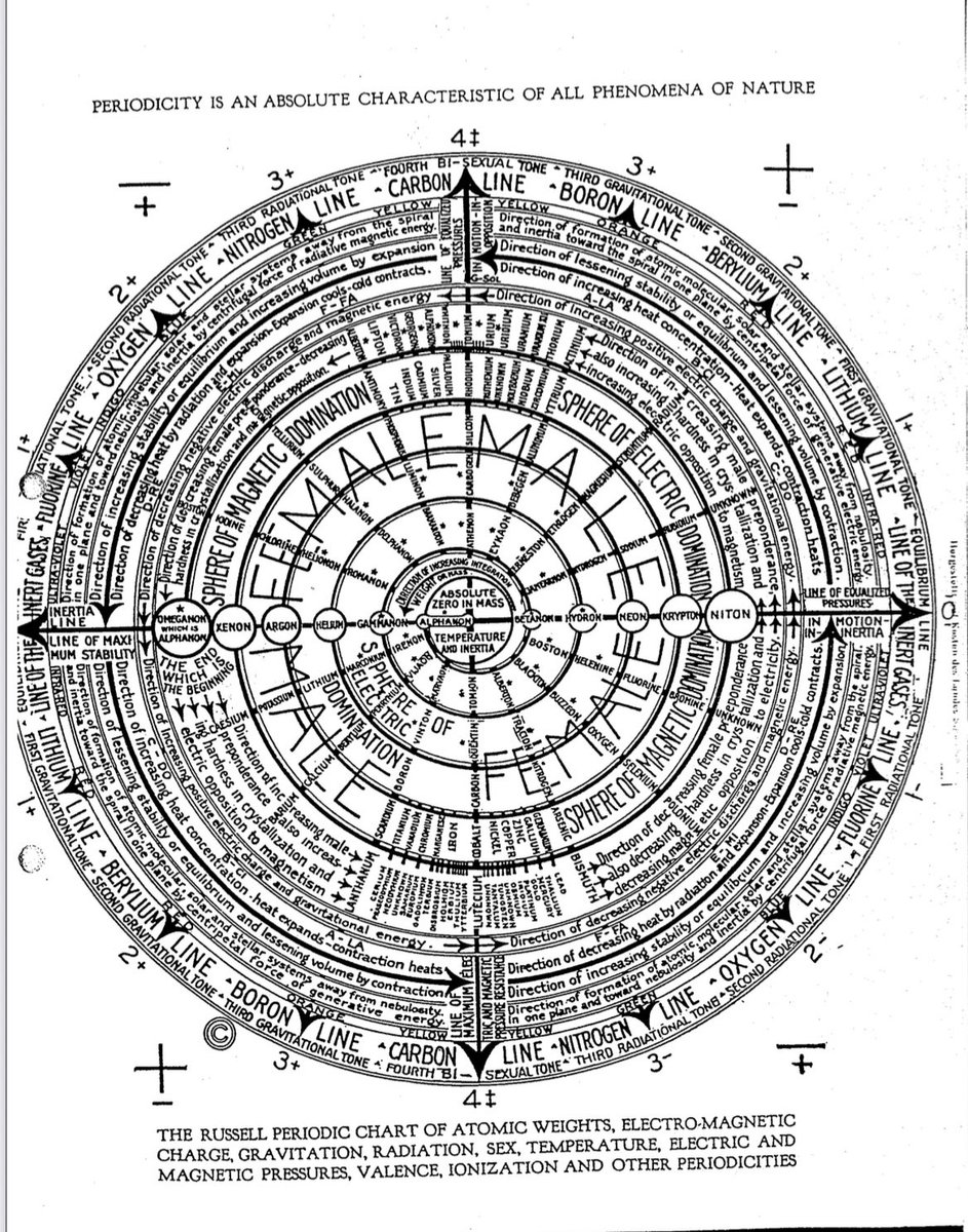 SpicySecretHistory tweet media