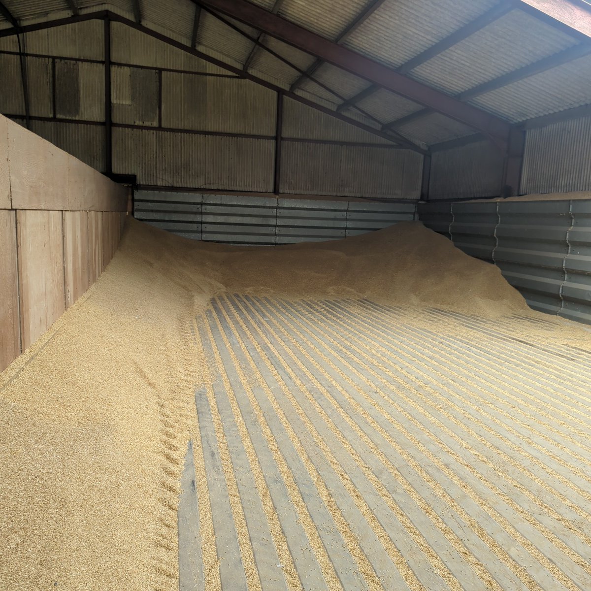 Mark Robinson tweet media