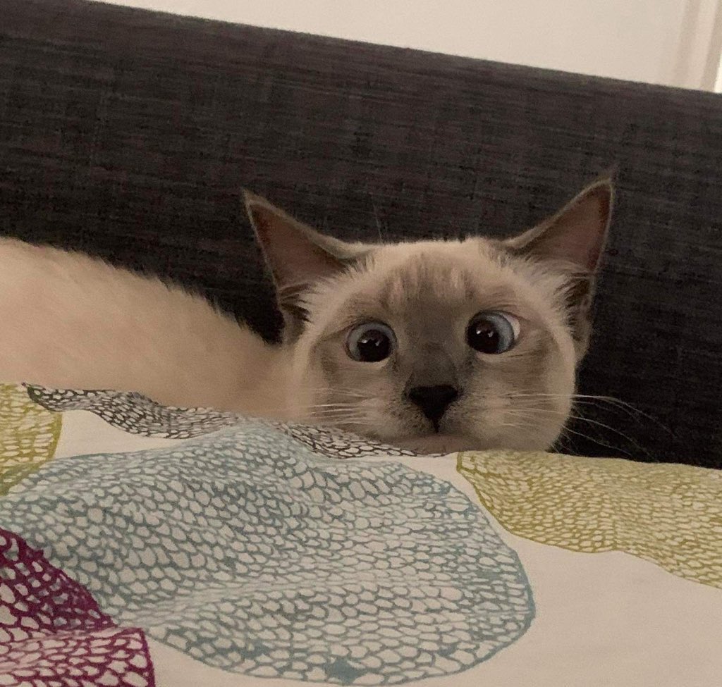 Regard non parallèle on a dit …