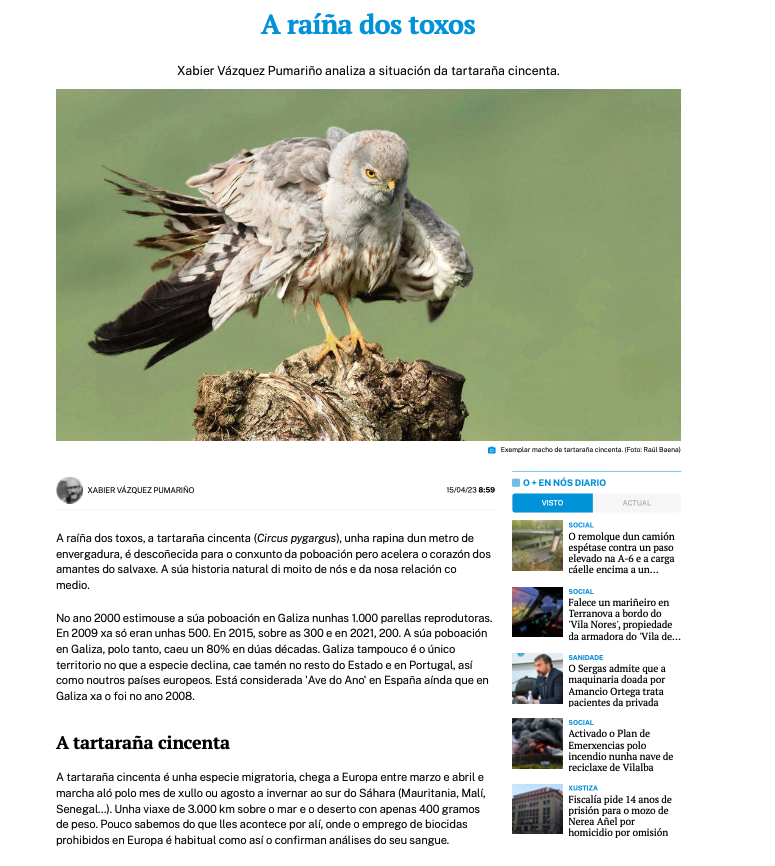 BirdingGalicia's tweet photo. Comparto con vós esta análise de hai uns días para @NosDiario  que ten por fío conductor a #tartarañacincenta #circuspygargus
Logo saíde correndo a ver se atopades algunha https://t.co/HoUBKD1o0u