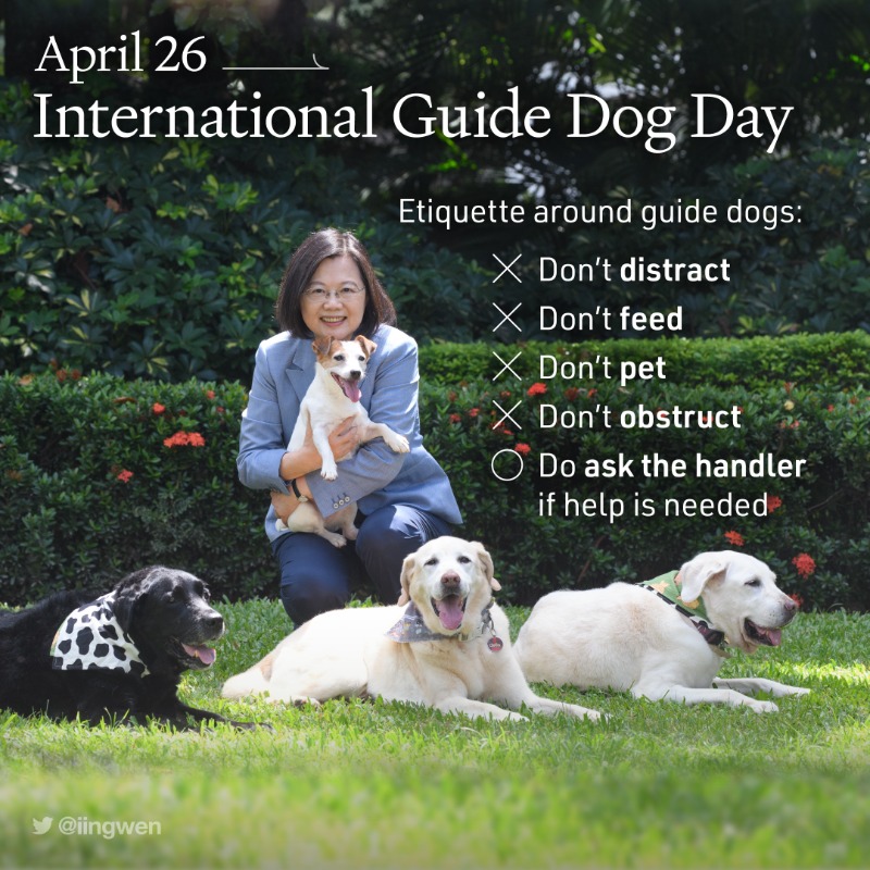 Today, I am celebrating #InternationalGuideDogDay with my three retired guide dogs: Bella, Bunny & Maru. I also want to encourage everyone to give guide dogs & their handlers respect & consideration as they go about their day.