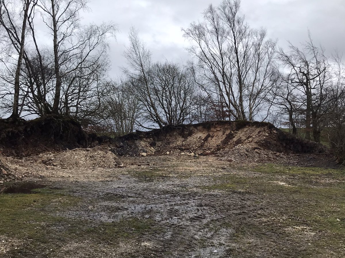 coal_legacies's tweet image. On the way to Craigend Brick Works #Maddiston #Falkirk. First stop the site of Kendies Hill coal mine a war time drift working. Small building foundations remain and the colourful #bing is being nibbled away by the local farmer.
#coal #miningheritage #industriallandscape #explore