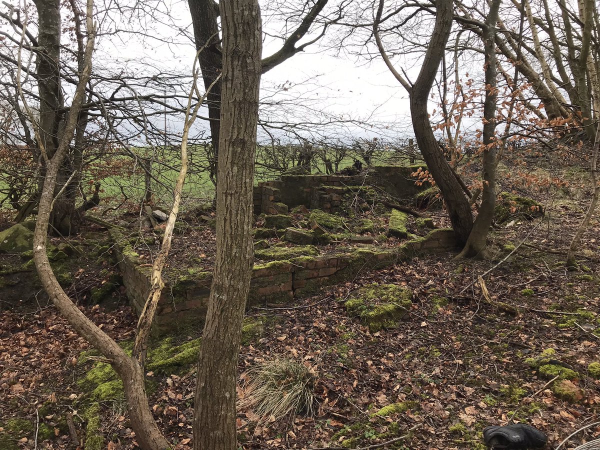 coal_legacies's tweet image. On the way to Craigend Brick Works #Maddiston #Falkirk. First stop the site of Kendies Hill coal mine a war time drift working. Small building foundations remain and the colourful #bing is being nibbled away by the local farmer.
#coal #miningheritage #industriallandscape #explore