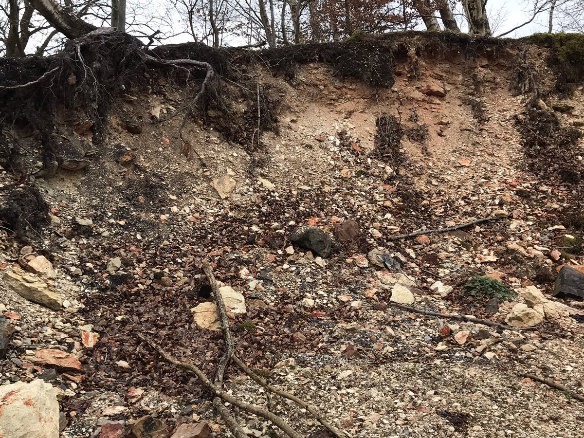 coal_legacies's tweet image. On the way to Craigend Brick Works #Maddiston #Falkirk. First stop the site of Kendies Hill coal mine a war time drift working. Small building foundations remain and the colourful #bing is being nibbled away by the local farmer.
#coal #miningheritage #industriallandscape #explore