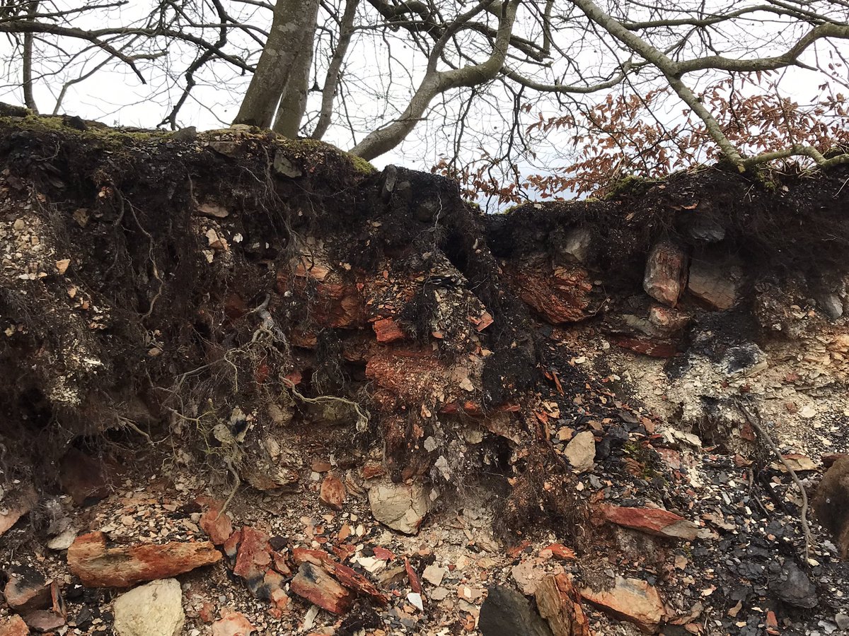 coal_legacies's tweet image. On the way to Craigend Brick Works #Maddiston #Falkirk. First stop the site of Kendies Hill coal mine a war time drift working. Small building foundations remain and the colourful #bing is being nibbled away by the local farmer.
#coal #miningheritage #industriallandscape #explore