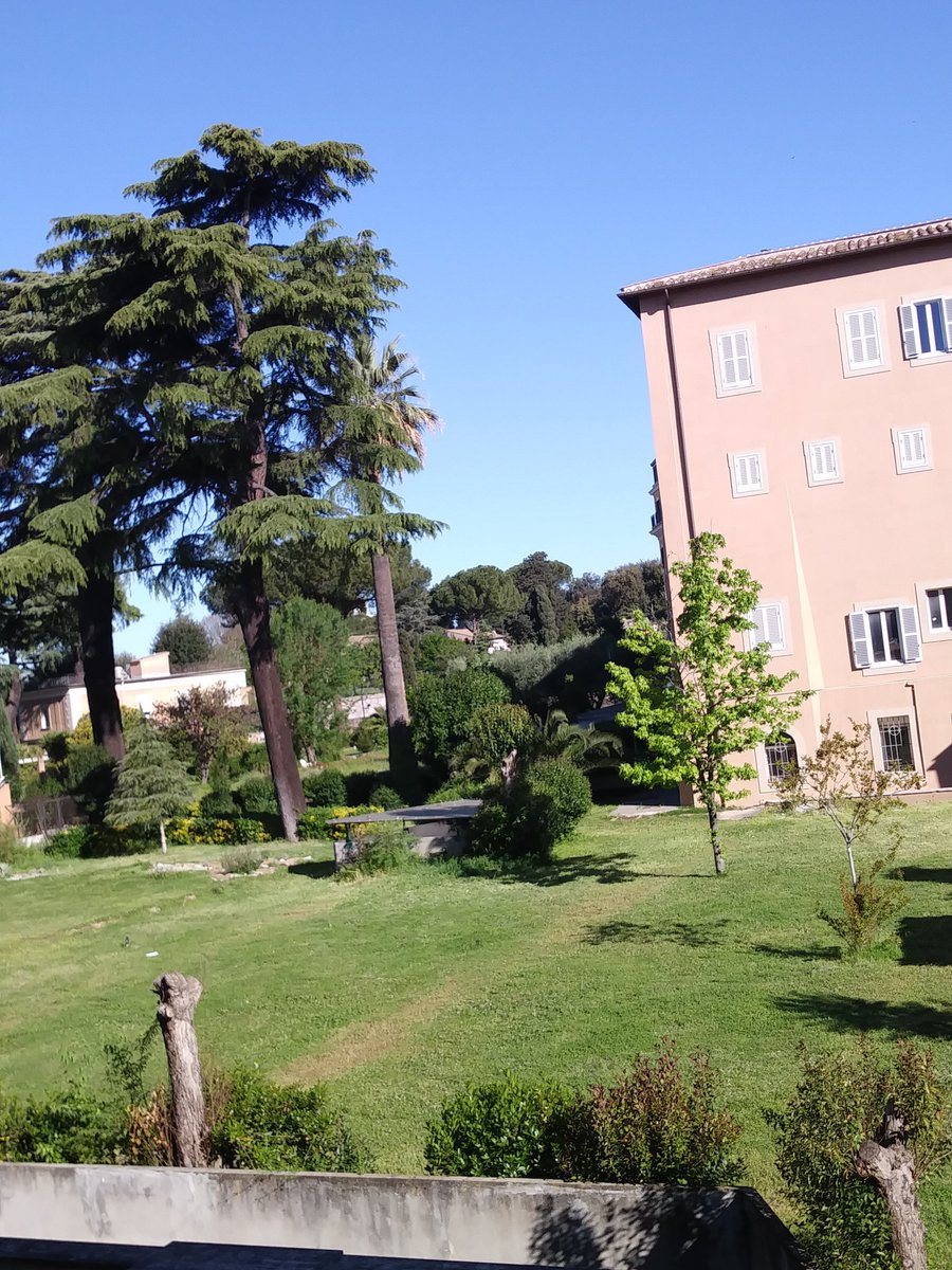 srmcarla's tweet photo. #ore9
#dallafinestra
Un prato verde con l'alberello vestito a nuovo e il cielo azzurro rendono luminosa la mia giornata. Sia serena la giornata di ciascuno/a! https://t.co/VgxylZ50d4