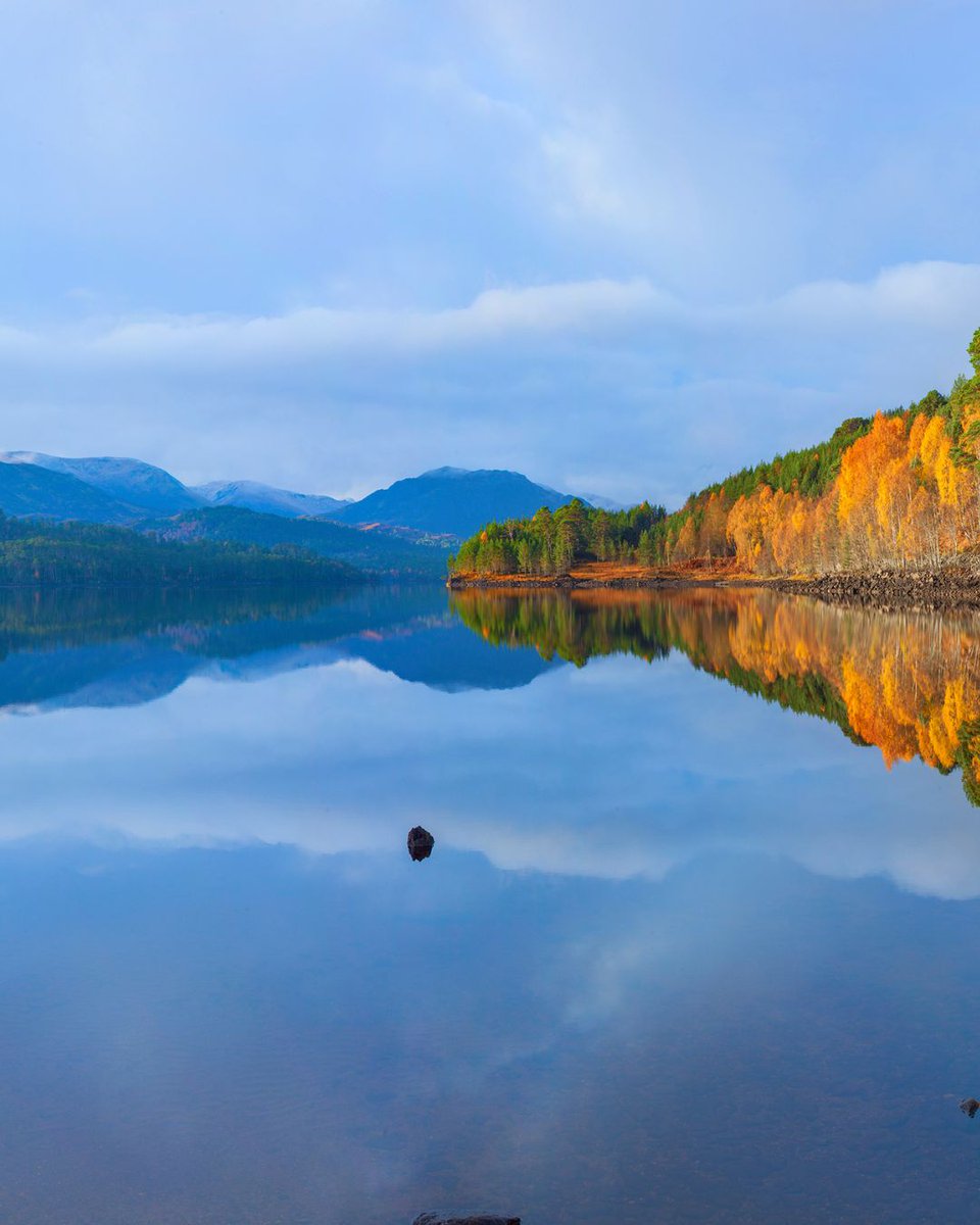 Red Carnation Hotels tweet media