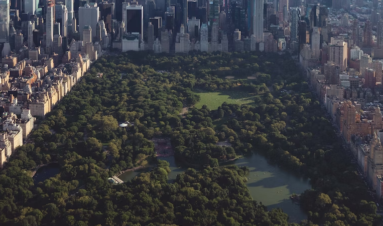 bptrivia tweet media