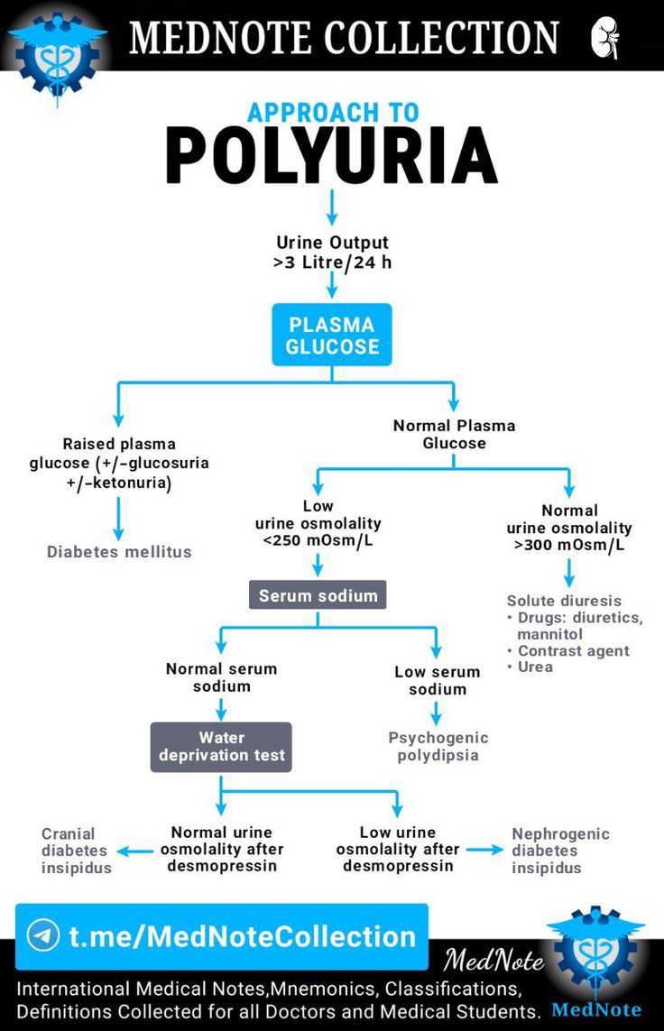medflutter_'s tweet photo. Approach to Polyuria.

By @mednotecollection

#FOAMed #MedEd https://t.co/soAyHvzqGt