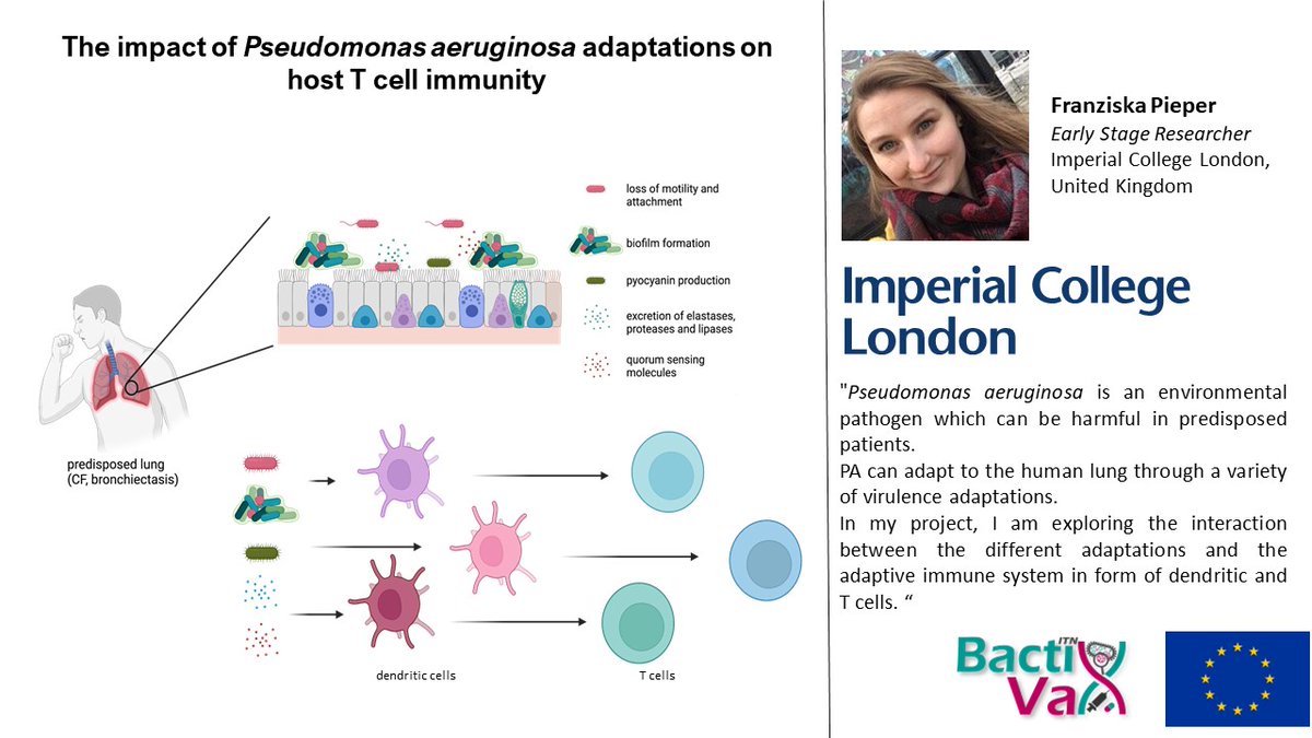 BactiVax's tweet photo. @FranziskaPieper from @imperialcollege and @BactiVax highlight their work on "The impact of Pseudomonas aeruginosa adaptations on host T cell immunity" 
#VaccinationWorks #WorldImmunisationWeek2023 @rea_Research @MSCActions https://t.co/PWIjuXAgpT
