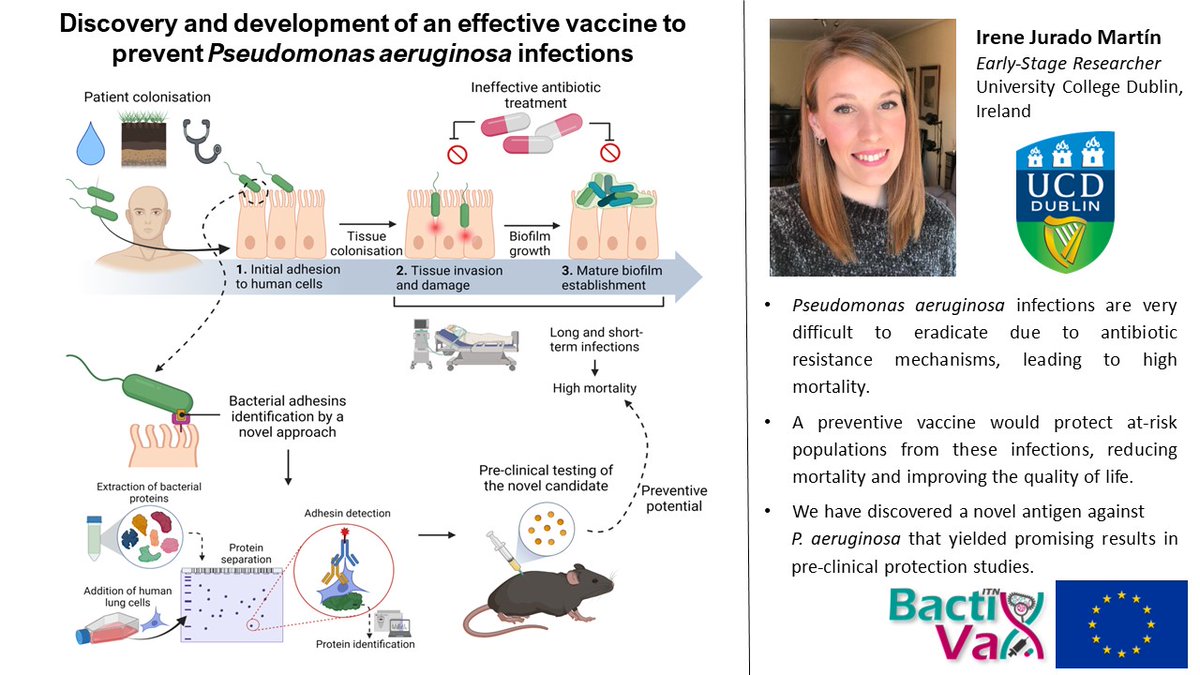 BactiVax's tweet photo. @IreneJurado6 from @UCD_Conway @UCD_SBBS @ucddublin and @BactiVax and highlight their work on "Discovery and development of an effective vaccine to prevent Pseudomonas aeruginosa infections" #VaccinationWorks #WorldImmunisationWeek2023 @rea_Research @MSCActions https://t.co/zMhBih5ngJ