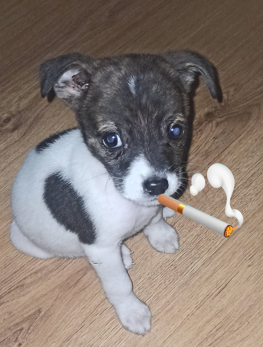 Elmati♥️🤍💙 tweet media