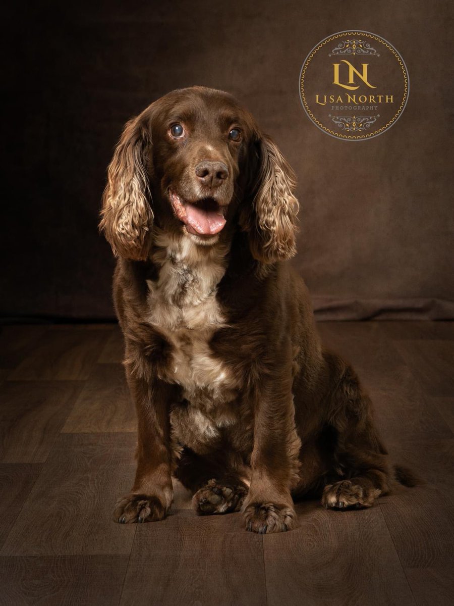 Clayton Hudson tweet media