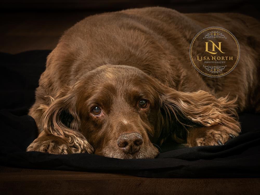 Clayton Hudson tweet media