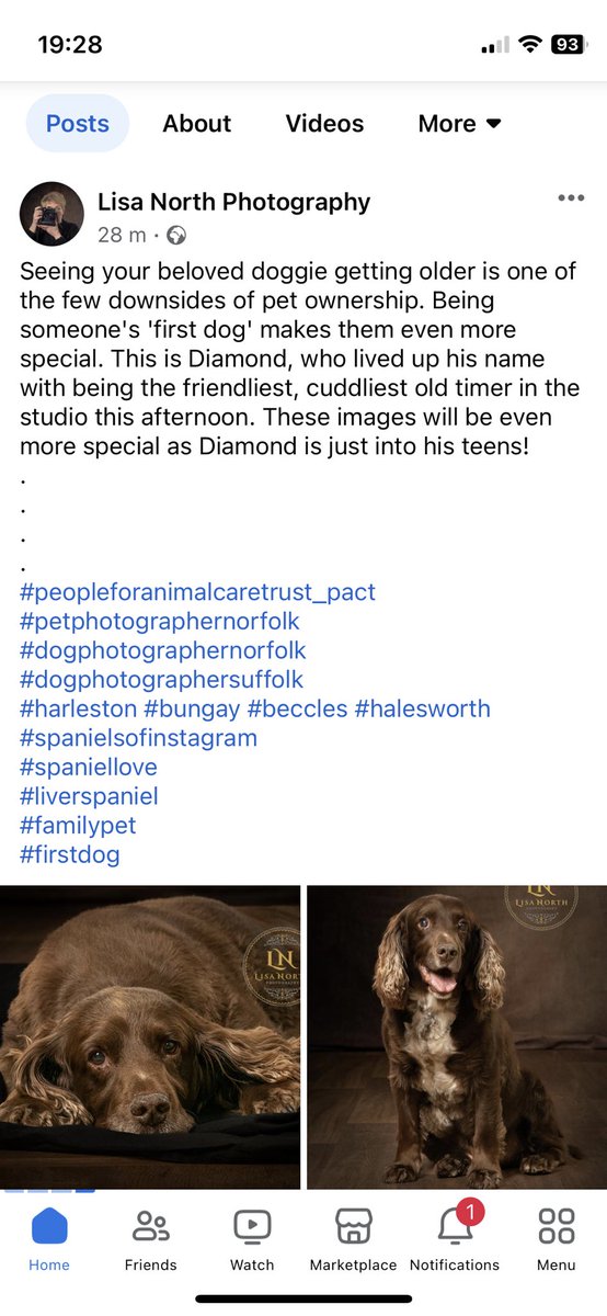 Clayton Hudson (@claytonhudson) on Twitter photo Mrs H took Diamond 🐶 along to <a href="/LisaNPhoto/">LISA NORTH PHOTO</a> month long charity photoshoot yesterday as part of <a href="/NatPetMonthUK/">National Pet Month</a> & to raise money for <a href="/pact_sanctuary/">PACT Animal Sanctuary</a> Beautiful pictures posted last night Facebook m.facebook.com/story.php?stor… Mrs H took Diamond 🐶 along to <a href="/LisaNPhoto/">LISA NORTH PHOTO</a> month long charity photoshoot yesterday as part of <a href="/NatPetMonthUK/">National Pet Month</a> & to raise money for <a href="/pact_sanctuary/">PACT Animal Sanctuary</a> Beautiful pictures posted last night Facebook m.facebook.com/story.php?stor…