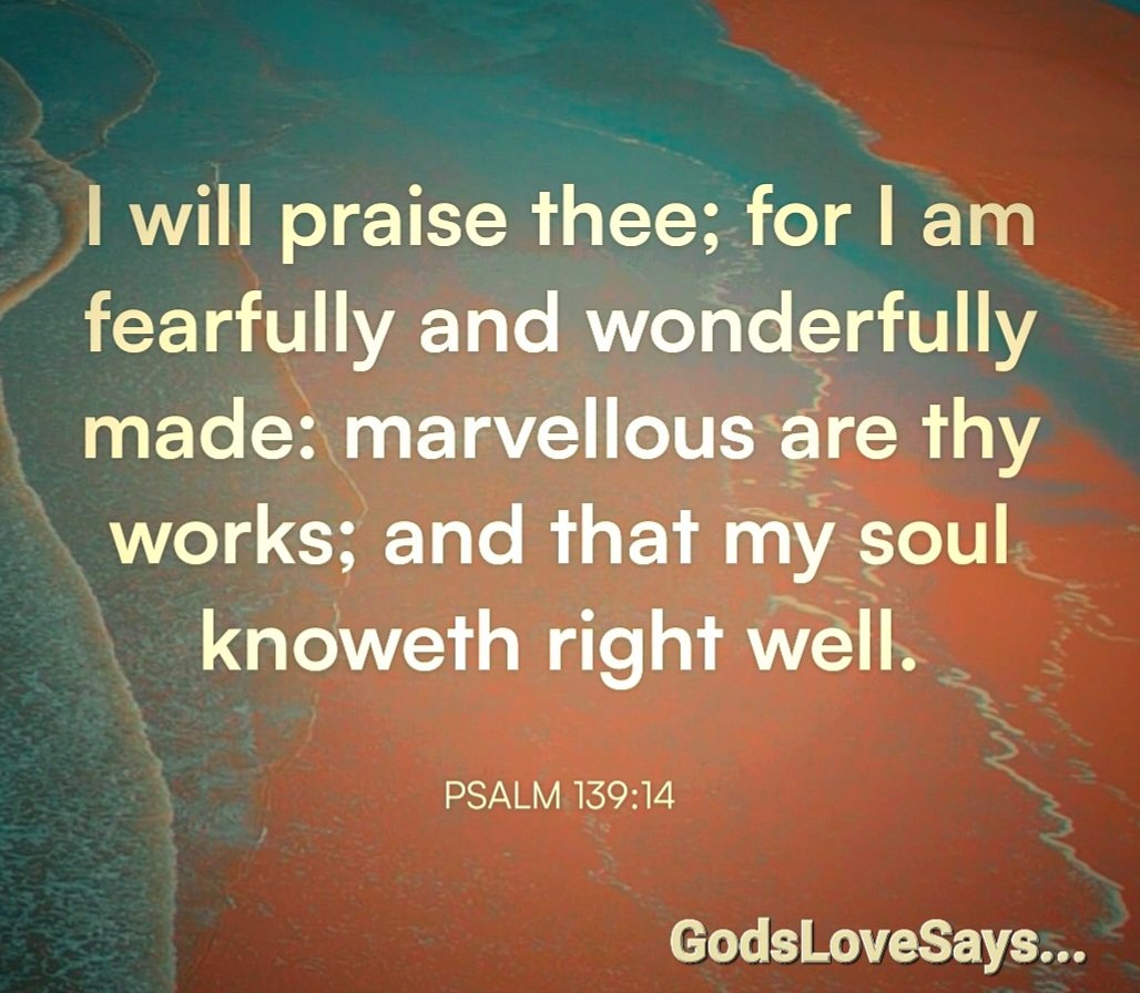 HornettPam's tweet photo. I praise you because I am fearfully and wonderfully made; your works are wonderful, I know that full well.
Psalms 139:14🙌🏻👶🏼
#GodsLoveSays #Psalms #praise #fearfully #wonderfully #made #works #wonderful #know https://t.co/FDBcuHApYN