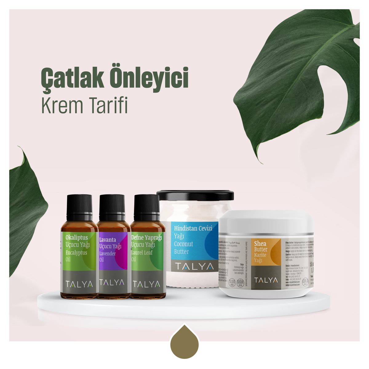 TalyaBitkisel's tweet photo. Çatlak önleyici krem tarifi;
1 y.k Hindistan Cevizi Yağı, 1 y.k Shea Butter, 1 damla Lavanta Uçucu Yağı, 1 damla Defne Yaprağı Uçucu Yağı, 3 damla Portakal Uçucu Yağı, 3 damla Okaliptus Uçucu Yağı

#Talya #TalyaBitkisel #KendimiSeviyorum #aromaterapi #ciltbakımı #çatlakkarşıtı https://t.co/qE9S8tj104